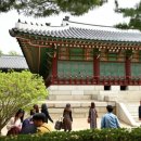 국도45호 삽교덕산 | 천년 고찰 속 봄의 향연, 예산 수덕사의 목련 철쭉 꽃 산책