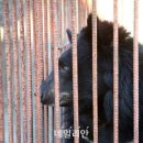 김성환농장 이미지