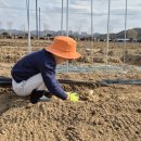 구름밭농장 이미지