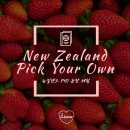 리안이네농장 이미지