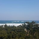 라카이샌드파인리조트 이미지