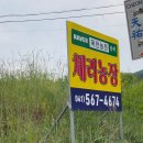 목천농장 | 천안 아산 어린이 갈만한곳 - 목천농원 체리농장 체리따기체험 후기