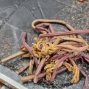 돌판하나 이미지