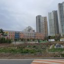 구지 세현초등학교 네이버블로그