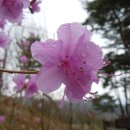 느린꼬부랑길 이미지