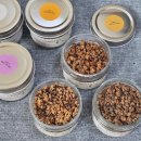 야미바크 이미지