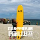 더퍼니서프 이미지