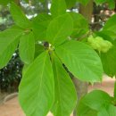 달안초등학교 이미지