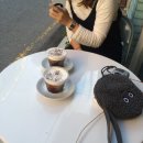 꿈꾸던 하루 이미지