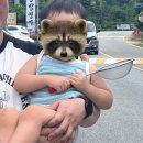 탑동길손 | 서울 근교 동두천 탑동계곡 후기 주차장 식당 아기랑 꿀팁