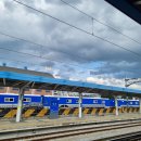 썸머콘서트 하하하 | 제천국제음악영화제 <원 썸머 나잇> 후기