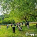 늘솔길숲이야기 이미지