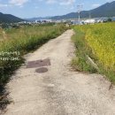 고성탑공인중개사사무소 이미지