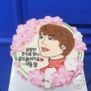비비드코알라 이미지