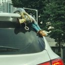 뭘봐PC방 이미지