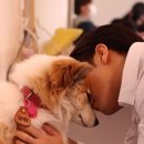 양희 - 부산진구 | 양희