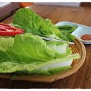 하루방식당 Daum카페