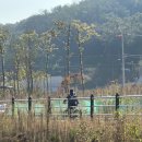 산호대로-10 이미지