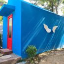 보고상회 이미지