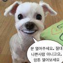 랄라라