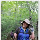 상류펜션 이미지