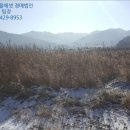 김화읍행정복지센터 이미지