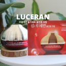 루체란 | 주름개선크림 루체란 줄기세포 올인원 크림