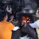 정자나무민박 이미지