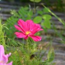 청도아리아펜션 이미지