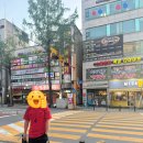 스파르타복싱체육관 이미지