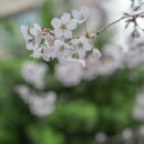 한국신발피혁연구소(한국소재융합연구원) 이미지