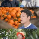 조준호농장 이미지