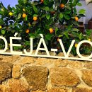 랑데자뷰 이미지