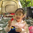 두리캠핑장 이미지