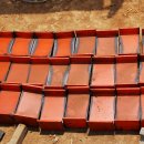 백수농장 이미지