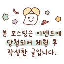 주식회사 더담현