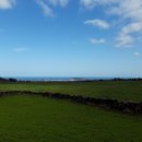 선양목장 이미지