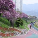 수영강시민공원 티스토리
