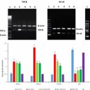 양춘만 | 실시간당체크 하고 3개월만에 혈당 정상 만든 방법(현실후기)