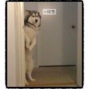 투쎄븐PC 이미지