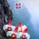 백산의원 이미지