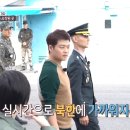 흙과소나무 이미지