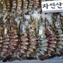 삼성수산(01월16일)_노량진수산시장 (장들 보고가세요~) 이미지