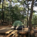 파인힐 캠프 이미지