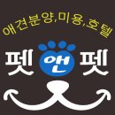 휴 애견미용 이미지