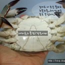 밥도둑 이미지