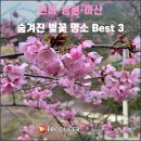 창원시 진해구 임대사업소 | 진해·창원·마산의 숨겨진 벚꽃 명소 Best 3