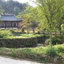죽림 이미지