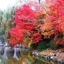 돌아가고싶은고향의산 이미지