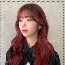 아름다운변신헤어